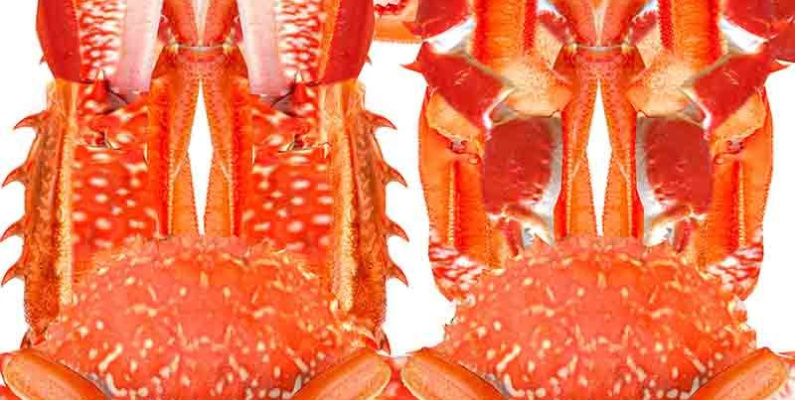 crab blur satin SM