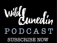 Wild Dunedin Podcast